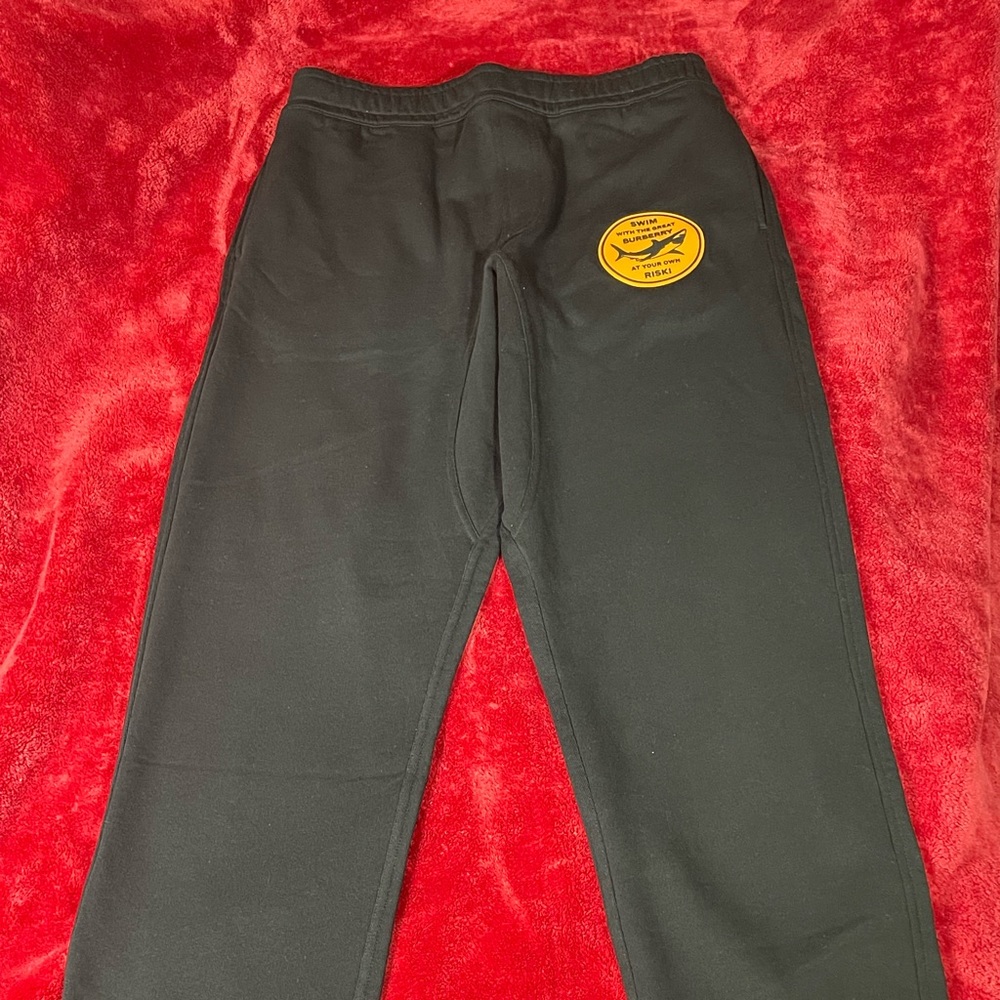 Burberry pants